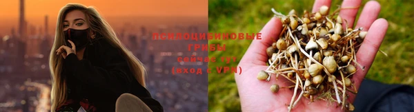 jwh Бородино