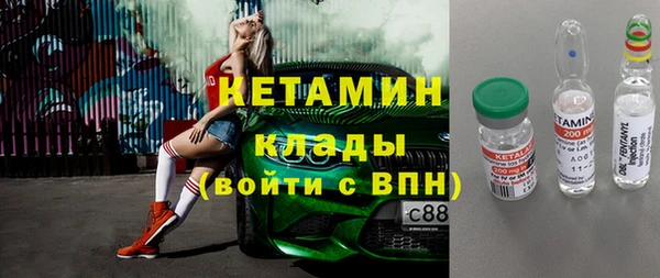 прущие грибы Апатиты