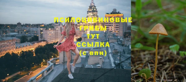 мескалин Анжеро-Судженск